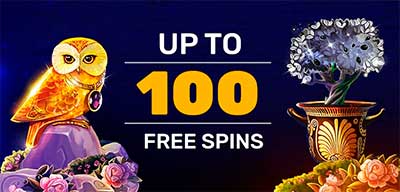 Free spins banner